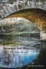 Image for Between the Worlds