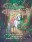 Image for Adventures of Princess Jordan 1: Forest Magic-Believe!