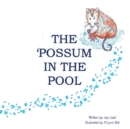 Image for Possum in the Pool.
