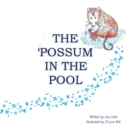 Image for The Possum in the Pool