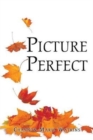 Image for Picture Perfect