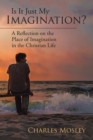 Image for Is It Just My Imagination?: A Reflection on the Place of Imagination in the Christian Life
