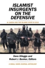 Image for Islamist Insurgents on the Defensive