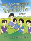 Image for Adventures of the Five Rabb Boys: Book 2