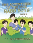 Image for The Adventures of the Five Rabb Boys