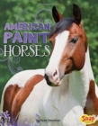 Image for American Paint Horses (Horse Breeds)