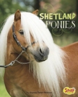 Image for Shetland Ponies