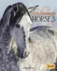 Image for Clydesdale Horses