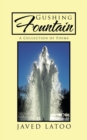 Image for Gushing Fountain