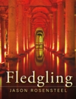 Image for Fledgling