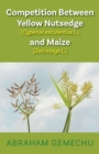 Image for Competition Between Yellow Nutsedge(Cyperus esculentus L) &amp; Maize (Zea mays)