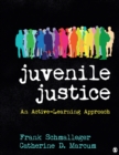 Image for Juvenile Justice : An Active-Learning Approach