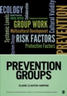 Image for Prevention Groups