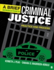 Image for Brief Introduction to Criminal Justice: Practice and Process