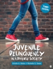 Image for Juvenile delinquency in a diverse society