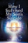 Image for How I Survived My Son&#39;s Suicide : Escape from Darkness