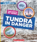 Image for Tundra in Danger (A True Book: The Earth at Risk)