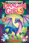 Image for Rani the Enchanted Dragon (Dragon Girls Special Edition #1)