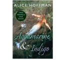 Image for Aquamarine &amp; Indigo (Two Novels, One Book)