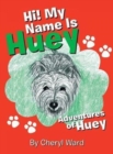 Image for Hi! My Name Is Huey