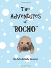 Image for The Adventures of Bocho