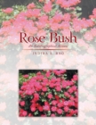 Image for Rose Bush