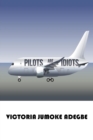 Image for Pilots Are Idiots
