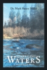 Image for Sparkling Waters : A Tricia Gleason Novel