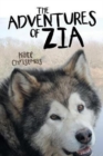 Image for The Adventures of Zia