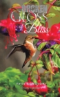 Image for Broken Gloss of Bliss