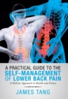 Image for A Practical Guide to the Self-Management of Lower Back Pain