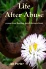 Image for Life After Abuse, a practical healing guide for survivors By; Jan Porter