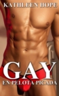 Image for Gay: En pelota picada