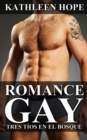 Image for Romance Gay: Tres tios en el bosque