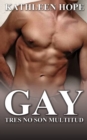 Image for Gay: Tres no son multitud