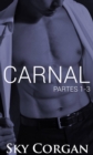 Image for Carnal: Partes 1-3