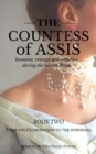 Image for Countess of Assis - Romance, Revenge and Ambition During the Second Reign