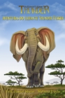 Image for Aventuras Do Elefante Thunder Tusker