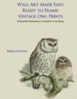 Image for Wall Art Made Easy : Ready to Frame Vintage Owl Prints: 30 Beautiful Illustrations to Transform Your Home