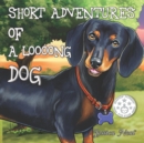 Image for Short Adventures of a Loooong Dog