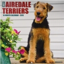 Image for Just Airedale Terriers 2019 Wall Calendar (Dog Breed Calendar)