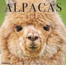 Image for Alpacas 2019 Wall Calendar