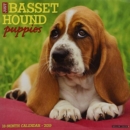 Image for Just Basset Hound Puppies 2019 Wall Calendar (Dog Breed Calendar)