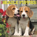 Image for Just Beagle Puppies 2019 Wall Calendar (Dog Breed Calendar)
