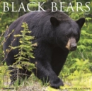Image for Black Bears 2019 Wall Calendar