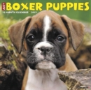 Image for Just Boxer Puppies 2019 Wall Calendar (Dog Breed Calendar)