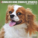 Image for Just Cavalier King Charles Spaniels 2019 Wall Calendar (Dog Breed Calendar)