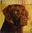 Image for Just Chocolate Labs 2019 Wall Calendar (Dog Breed Calendar)