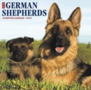 Image for Just German Shepherds 2019 Wall Calendar (Dog Breed Calendar)