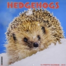 Image for Hedgehogs 2019 Wall Calendar